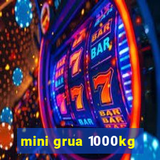 mini grua 1000kg